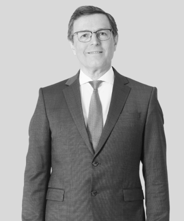 Dr. Bernhard STEINDL  Rechtsanwalt